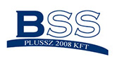 BSS