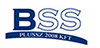 BSS